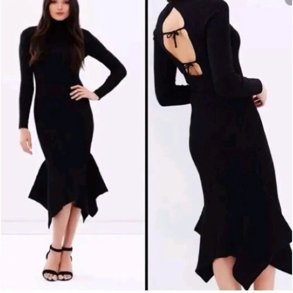 Asilio The Fortress Dress New‎ Cutout Long Sleeve High Neck Sheath Sz 4 Revolve